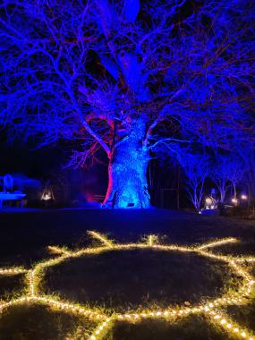 die Wiederkehr des Lichts