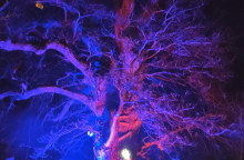 Wintersonnenwende auf der Kräuterinsel
